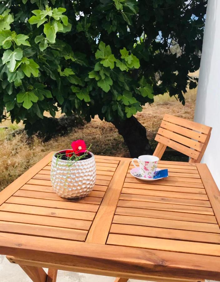 Apartament Casa 1-Quinta Dos Penedos Portalegre Zewnętrze zdjęcie